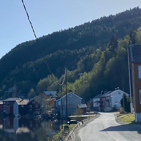 Hammerstuene Mat - Og Gjestehus Surnadal Exterior foto