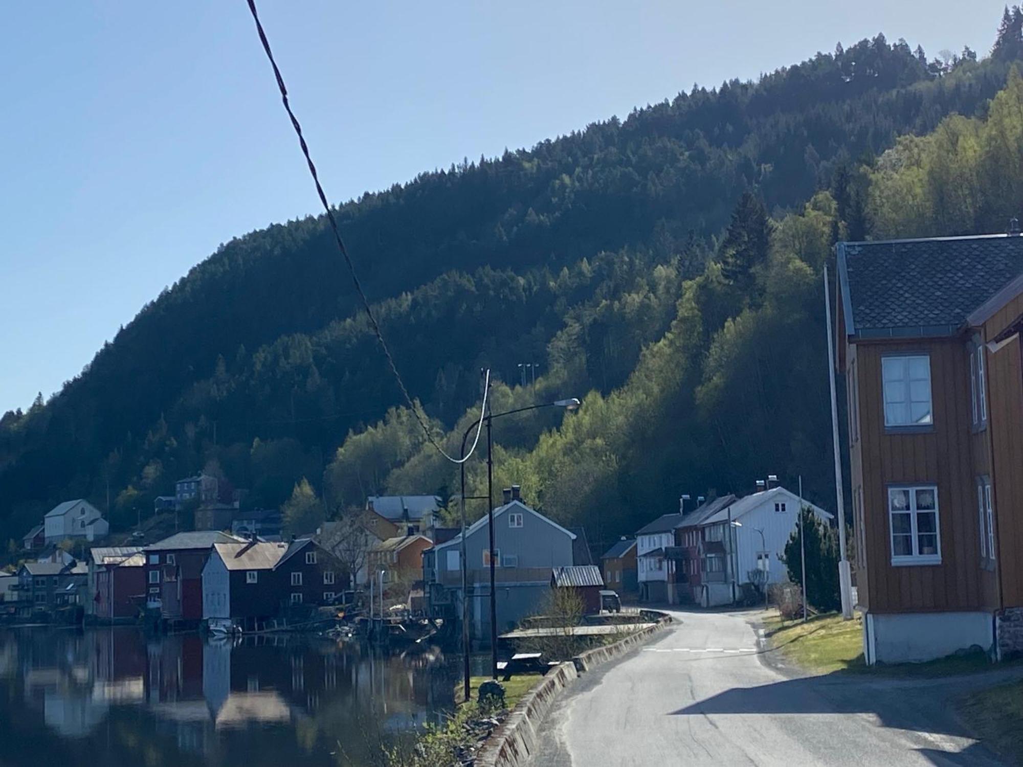 Hammerstuene Mat - Og Gjestehus Surnadal Exterior foto